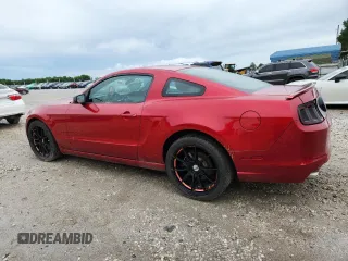 2013 Ford Mustang V6 с VIN 1ZVBP8AM2D5267439, выставлен на аукционе Copart как лот 61307575 с пробегом 109 401 миль миль и Списание • Salvage title. История ставок и продаж доступна на DreamBid. Изображение 2.