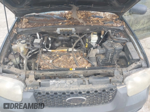 2006 Ford Escape XLS with VIN 1FMYU02Z06KA02505, listed as a IAAI auction lot 42403825 with 261,939 mi miles and . Bid and sale history available at DreamBid. Image 10.