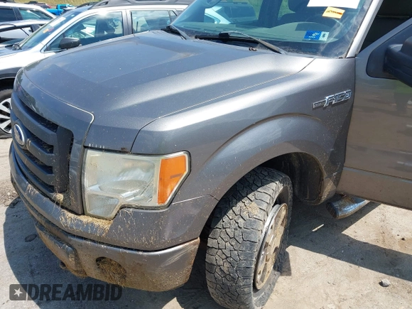 2010 Ford F-150 XL z VIN 1FTEX1EW3AFC76479, wystawiony jako IAAI lot #42586668 z przebiegiem 198 880 mil mil oraz . Historia ofert i sprzedaży dostępna na DreamBid. Obrazek 6.