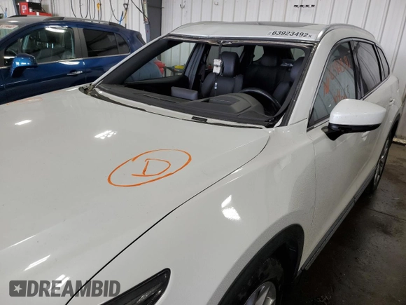 2019 Mazda CX-9 Grand Touring with VIN JM3TCBDY5K0303625, listed as a Copart auction lot 63923492 with 64,663 mi miles. Bid and sale history available at carsss.com. Image 9.
