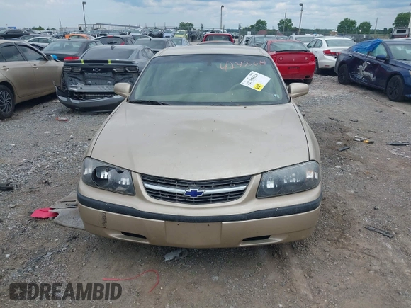 2000 Chevrolet Impala с VIN 2G1WF55K7Y9165151, выставлен на аукционе IAAI как лот 42355624 с пробегом 136 557 миль миль и . История ставок и продаж доступна на DreamBid. Изображение 12.