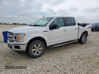 2019 Ford F-150 XL with VIN 1FTEW1E59KKD15322, listed as a Copart auction lot 60101015 with 102,568 mi miles and Salvage title. Bid and sale history available at DreamBid. Image 1.