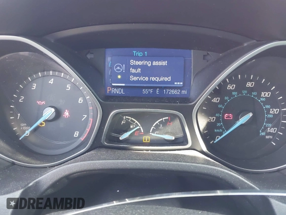 2013 Ford Focus SE with VIN 1FADP3K29DL158649, listed as a IAAI auction lot 42049823 with 172,662 mi miles. Bid and sale history available at carsss.com. Image 7.
