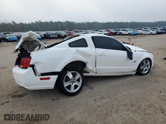 2006 Ford Mustang GT Deluxe with VIN 1ZVHT82H665248483, listed as a Copart auction lot 43163155 with 0 mi miles and Salvage Title. Bid and sale history available at carsss.com. Image 3.