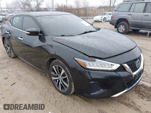 2021 Nissan Maxima SV with VIN 1N4AA6CV9MC513687, listed as a IAAI auction lot 41744440 with 67,386 mi miles and . Bid and sale history available at DreamBid. Image 1.