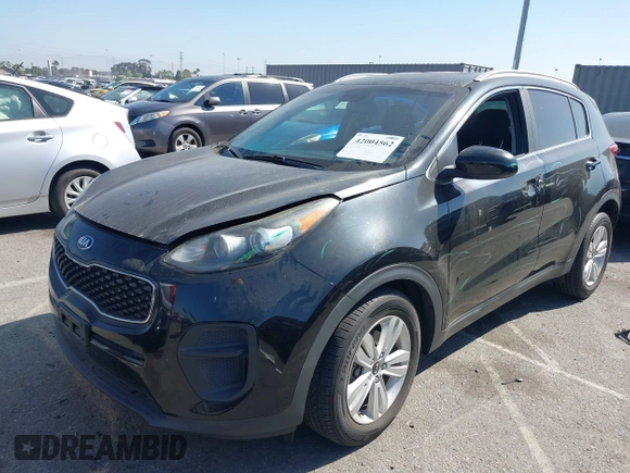 2017 Kia Sportage LX with VIN KNDPM3AC8H7049446, listed as a IAAI auction lot 42004562 with 79,055 mi miles and . Bid and sale history available at DreamBid. Image 17.