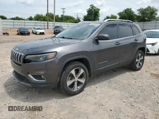 2019 Jeep Cherokee Limited with VIN 1C4PJMDN1KD259536, listed as a Copart auction lot 60029695 with 117,294 mi miles and Salvage title. Bid and sale history available at DreamBid. Image 1.
