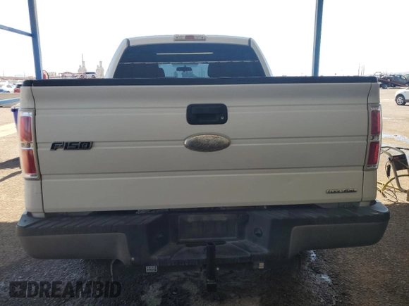 2011 Ford F-150 XL with VIN 1FTEW1CM2BFD34443, listed as a Copart auction lot 64940495 with 305,412 mi miles and Clean title. Bid and sale history available at DreamBid. Image 6.