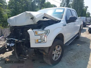 2016 Ford F-150 XLT with VIN 1FTEW1EF5GFD32448, listed as a IAAI auction lot 42411577 with 171,930 mi miles and . Bid and sale history available at DreamBid. Image 17.