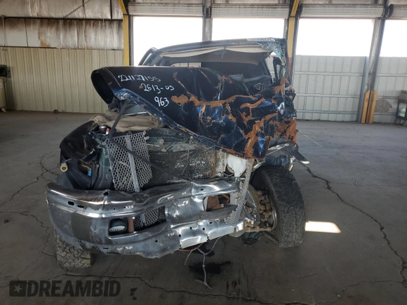 2001 Dodge 1500 z VIN 1B7HF13Z11J227484, wystawiony jako Copart lot #57550225 z przebiegiem Nie podano mil oraz Szkoda całkowita • Salvage title. Historia ofert i sprzedaży dostępna na DreamBid. Obrazek 5.