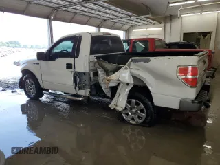 2010 Ford F-150 XL with VIN 1FTMF1CW8AKA82586, listed as a Copart auction lot 58854245 with 197,462 mi miles and Non repairable. Bid and sale history available at DreamBid. Image 2.