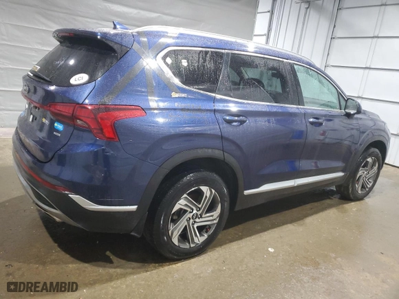 2021 Hyundai Santa Fe SEL with VIN 5NMS2DAJ4MH343532, listed as a Copart auction lot 50032955 with 49,436 mi miles and Clean Title. Bid and sale history available at carsss.com. Image 3.