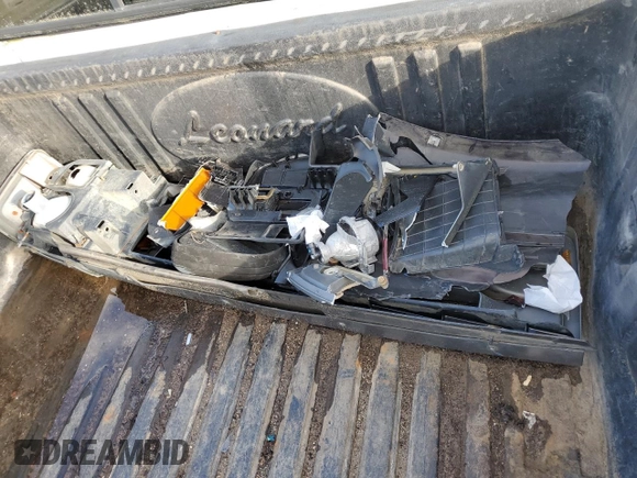 1994 Ford F-150 with VIN 1FTEF15Y6RNA10895, listed as a Copart auction lot 79569834 with 0 mi miles and Salvage Title. Bid and sale history available at carsss.com. Image 12.