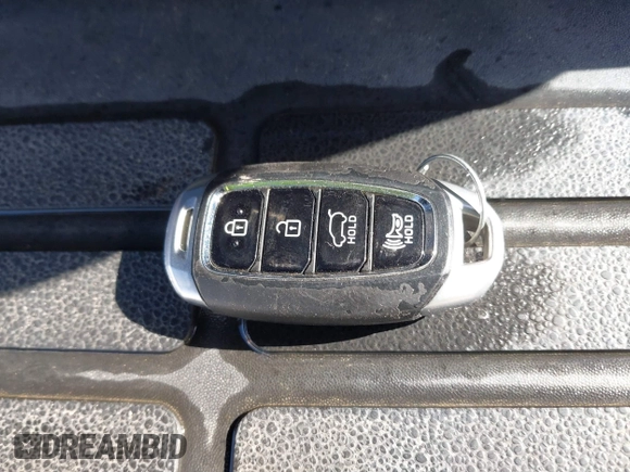2020 Hyundai Santa Fe Limited with VIN 5NMS53AA0LH230466, listed as a IAAI auction lot 41252619 with Not Provided miles and . Bid and sale history available at DreamBid. Image 11.