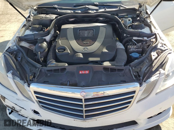 2010 Mercedes-Benz E 550 Luxury with VIN WDDHF7CB0AA104304, listed as a Copart auction lot 46538105 with 147,188 mi miles and Salvage Title. Bid and sale history available at DreamBid. Image 13.