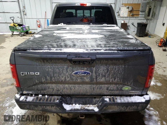 2016 Ford F-150 XLT with VIN 1FTFX1EF5GFD29647, listed as a Copart auction lot 87866955 with 0 mi miles and Salvage Title. Bid and sale history available at carsss.com. Image 6.