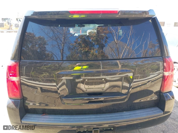 2019 Chevrolet Tahoe Commercial with VIN 1GNLCDECXKR133529, listed as a IAAI auction lot 41890263 with 160,227 mi miles. Bid and sale history available at carsss.com. Image 16.
