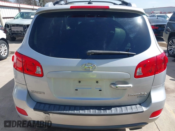 2009 Hyundai Santa Fe SE with VIN 5NMSH13E99H300552, listed as a IAAI auction lot 41772584 with 155,127 mi miles and . Bid and sale history available at DreamBid. Image 17.