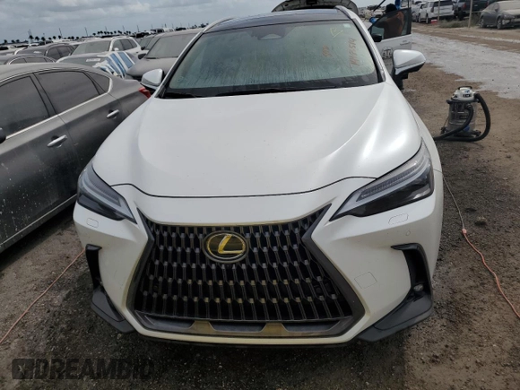 2022 Lexus NX with VIN JTJHKCEZ1N5002627, listed as a Copart auction lot 74983514 with 19,228 mi miles and Non Repairable. Bid and sale history available at carsss.com. Image 5.