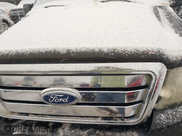2005 Ford F-150 XLT with VIN 1FTPX04535KD69303, listed as a IAAI auction lot 41836643 with 224,676 mi miles and . Bid and sale history available at DreamBid. Image 10.