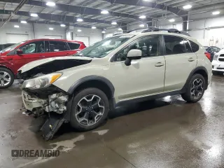 2014 Subaru Crosstrek Premium with VIN JF2GPACC2E8334675, listed as a Copart auction lot 56304695 with 102,317 mi miles and Salvage title. Bid and sale history available at DreamBid. Image 1.