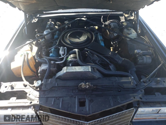 1981 Cadillac Eldorado z VIN 1G6AL5799BE635997, wystawiony jako Copart lot #45287175 z przebiegiem 46 416 mil mil oraz Czysty tytuł • Clean title. Historia ofert i sprzedaży dostępna na DreamBid. Obrazek 11.