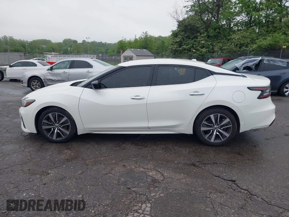 2020 Nissan Maxima S with VIN 1N4AA6BV4LC364136, listed as a IAAI auction lot 42195018 with 38,941 mi miles and . Bid and sale history available at DreamBid. Image 15.