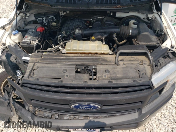 2019 Ford F-150 XL with VIN 1FTMF1CB9KKE43869, listed as a Copart auction lot 57331515 with 164,061 mi miles and Salvage title. Bid and sale history available at DreamBid. Image 11.