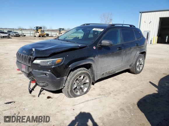 2019 Jeep Cherokee Trailhawk with VIN 1C4PJMBX8KD253401, listed as a Copart auction lot 46624245 with 79,627 mi miles and Salvage Title. Bid and sale history available at DreamBid. Image 1.