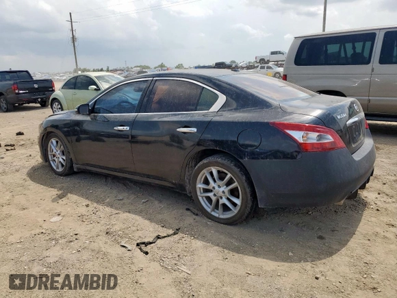 2011 Nissan Maxima SV with VIN 1N4AA5AP1BC854500, listed as a Copart auction lot 58921995 with 155,868 mi miles and Salvage title. Bid and sale history available at DreamBid. Image 2.