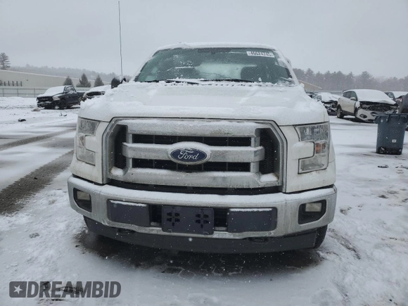 2017 Ford F-150 XL with VIN 1FTEW1EG0HFC21266, listed as a Copart auction lot 46624745 with 141,117 mi miles and Salvage Title. Bid and sale history available at carsss.com. Image 5.