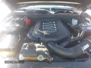 2014 Ford Mustang GT with VIN 1ZVBP8CF1E5206700, listed as a IAAI auction lot 41591289 with 118,769 mi miles and . Bid and sale history available at DreamBid. Image 10.