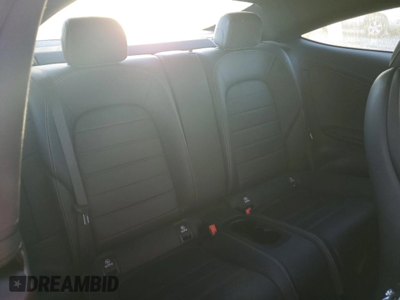 2023 Mercedes-Benz C 300 with VIN W1KWJ8EBXPG122548, listed as a Copart auction lot 80816274 with 10,142 mi miles and Salvage Title. Bid and sale history available at DreamBid. Image 10.