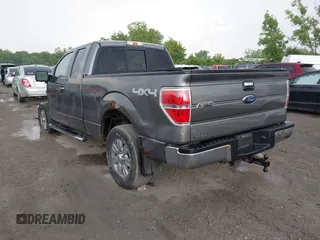 2010 Ford F-150 XL with VIN 1FTEX1E83AFD64062, listed as a IAAI auction lot 42550600 with 135,059 mi miles and . Bid and sale history available at DreamBid. Image 3.