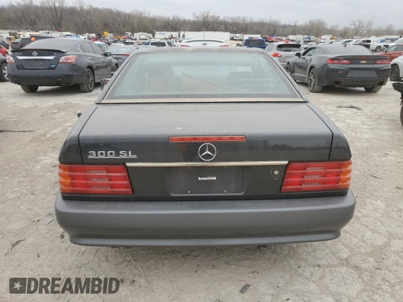 1990 Mercedes-Benz 300 with VIN WDBFA61E5LF010530, listed as a Copart auction lot 49656765 with 115,760 mi miles and Clean Title. Bid and sale history available at DreamBid. Image 6.