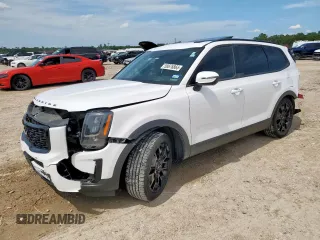 2022 Kia Telluride SX with VIN 5XYP5DHC7NG225071, listed as a Copart auction lot 58676865 with 92,055 mi miles and Salvage title. Bid and sale history available at DreamBid. Image 1.