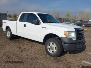 2014 Ford F-150 XL with VIN 1FTEX1EM0EKE57132, listed as a IAAI auction lot 41895499 with 260,186 mi miles and . Bid and sale history available at carsss.com. Image 1.