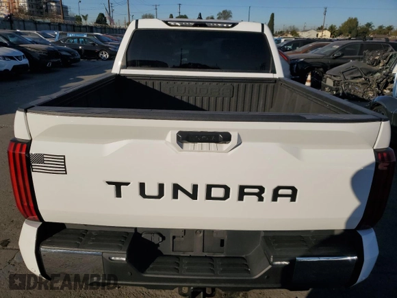 2022 Toyota Tundra 2WD SR5 with VIN 5TFLA5AB0NX008542, listed as a Copart auction lot 89285275 with 19,120 mi miles and Salvage Title. Bid and sale history available at carsss.com. Image 6.