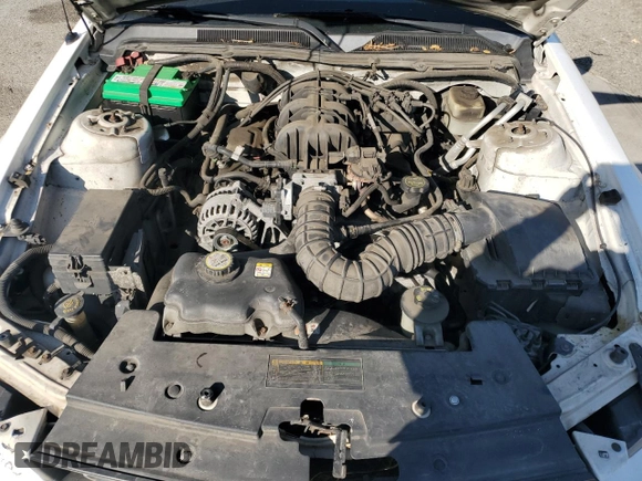 2008 Ford Mustang Deluxe with VIN 1ZVHT84N485126582, listed as a Copart auction lot 51853415 with 207,190 mi miles and Clean Title. Bid and sale history available at carsss.com. Image 11.
