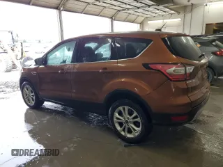 2017 Ford Escape SE with VIN 1FMCU0GD7HUE53039, listed as a Copart auction lot 51157025 with 89,216 mi miles and Salvage Title. Bid and sale history available at DreamBid. Image 2.