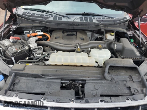 2021 Ford F-150 XL with VIN 1FTFW1ED7MFB28328, listed as a Copart auction lot 56223375 with 60,815 mi miles and Salvage title. Bid and sale history available at DreamBid. Image 11.