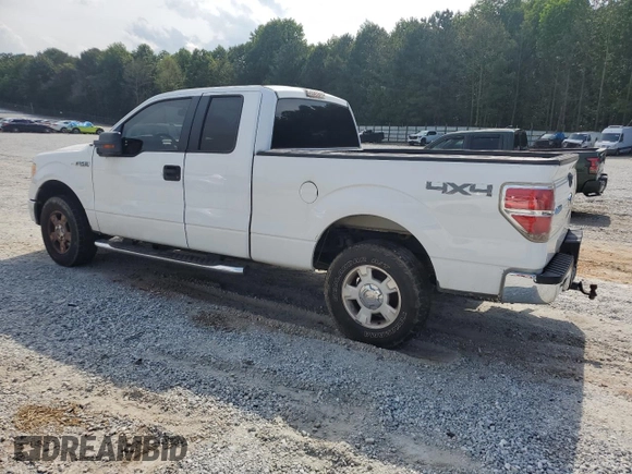 2010 Ford F-150 XL with VIN 1FTEX1E89AFB10260, listed as a Copart auction lot 57491885 with 185,044 mi miles and Salvage title. Bid and sale history available at DreamBid. Image 2.