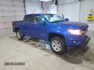 2019 Chevrolet Colorado 4WD LT with VIN 1GCGTCEN6K1137954, listed as a Copart auction lot 57060755 with 32,589 mi miles and Salvage title. Bid and sale history available at DreamBid. Image 4.