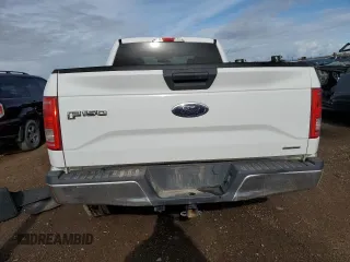 2015 Ford F-150 XLT with VIN 1FTFX1EF6FFA30750, listed as a Copart auction lot 60123375 with 210,315 mi miles and Salvage title. Bid and sale history available at DreamBid. Image 6.