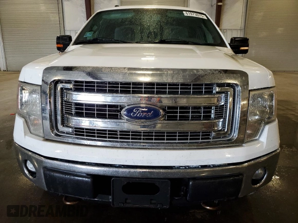 2013 Ford F-150 XL with VIN 1FTFX1EF2DKG09741, listed as a Copart auction lot 61973075 with 339,400 mi miles and Clean title. Bid and sale history available at DreamBid. Image 5.