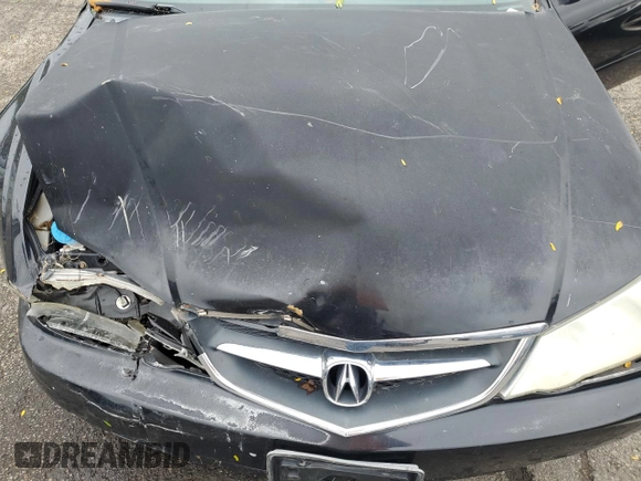 2003 Acura TL with VIN 19UUA56603A075613, listed as a Copart auction lot 73479814 with 0 mi miles and Salvage Title. Bid and sale history available at carsss.com. Image 11.