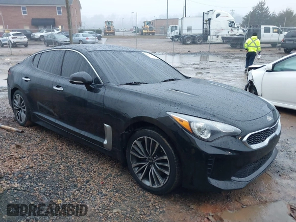 2019 Kia Stinger with VIN KNAE15LA6K6069504, listed as a IAAI auction lot 41031373 with 81,577 mi miles. Bid and sale history available at carsss.com. Image 1.