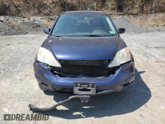 2010 Honda CR-V EX with VIN 5J6RE4H54AL016082, listed as a Copart auction lot 53850455 with 124,247 mi miles and Salvage Title. Bid and sale history available at carsss.com. Image 5.