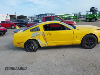 2005 Ford Mustang Deluxe with VIN 1ZVFT80N255136181, listed as a IAAI auction lot 42096578 with 151,696 mi miles and . Bid and sale history available at DreamBid. Image 13.