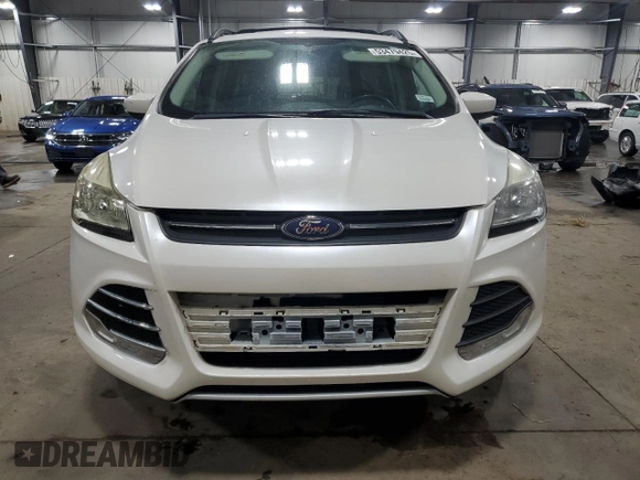 2015 Ford Escape SE with VIN 1FMCU9G92FUC86702, listed as a Copart auction lot 53479425 with 141,055 mi miles and Salvage Title. Bid and sale history available at DreamBid. Image 5.